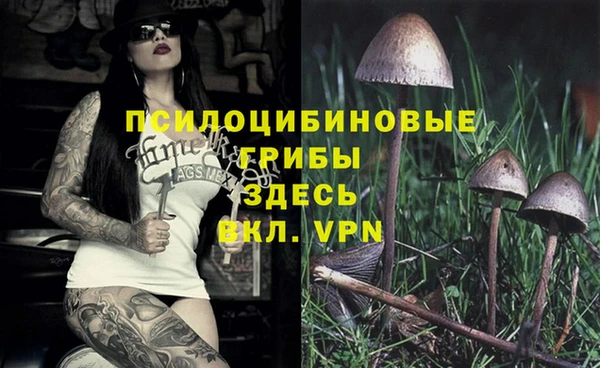 винт Алексин