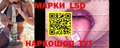 амф Новодвинск