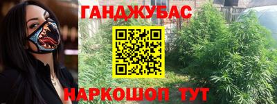 амф Новодвинск