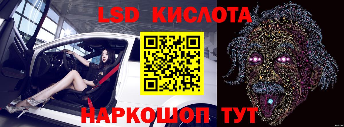 mega как войти  ЛСД экстази кислота  Волхов  Вход с VPN  LSD-25 экстази кислота 