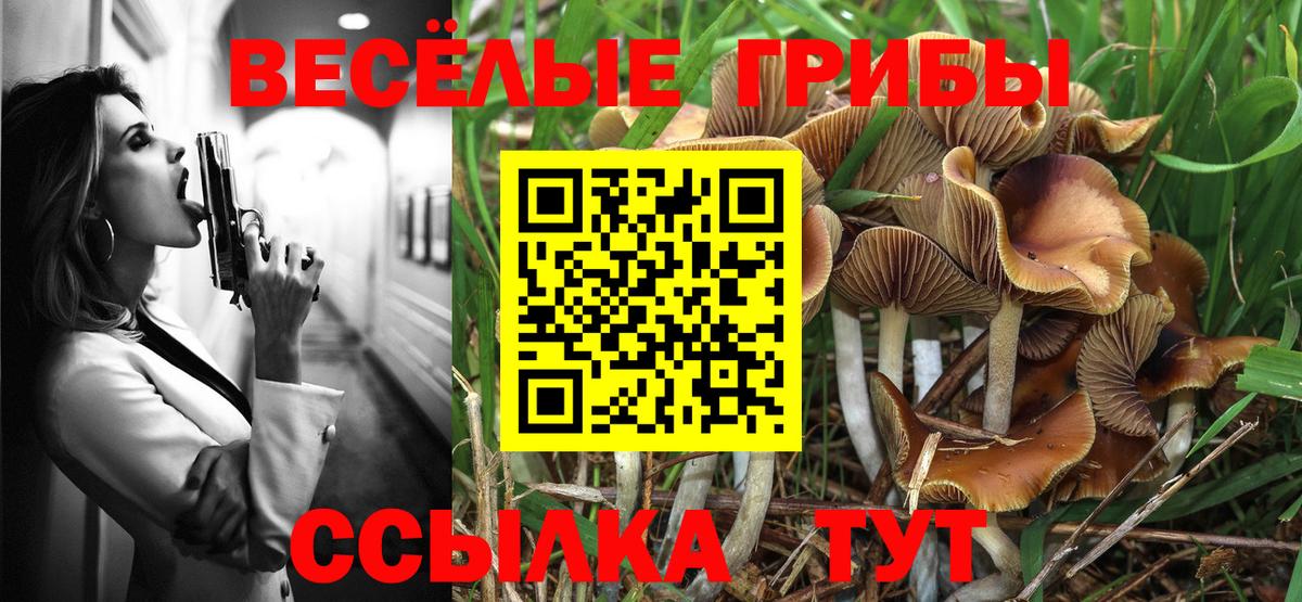 Псилоцибиновые грибы ЛСД Волхов